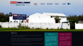 What Niltunpaints.com website looked like in 2020 (4 years ago)