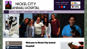 What Nickelcityvets.com website looked like in 2020 (4 years ago)