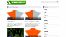 What Novo-sel.ru website looked like in 2020 (4 years ago)