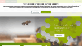 What Naturapi.com website looked like in 2020 (4 years ago)
