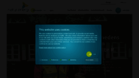 What Natur-energi.dk website looked like in 2020 (4 years ago)