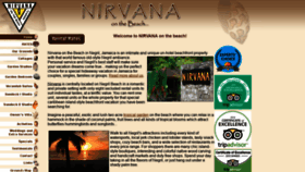 What Nirvananegril.com website looked like in 2020 (4 years ago)