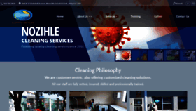 What Nozihlecleaningservices.co.za website looked like in 2020 (4 years ago)