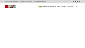 What Nooranicorbel.com website looked like in 2020 (4 years ago)