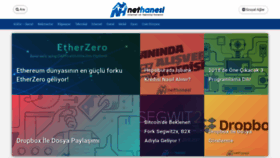 What Nethanesi.com website looked like in 2020 (3 years ago)