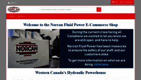 What Norcan.shop website looked like in 2020 (3 years ago)