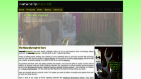 What Naturallyinspired.com.au website looked like in 2020 (3 years ago)