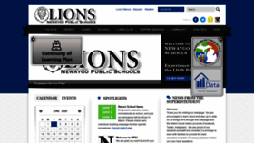 What Newaygo.net website looked like in 2020 (6 years ago)
