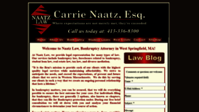 What Naatzlaw.com website looked like in 2020 (3 years ago)
