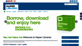 What Napierlibrary.co.nz website looked like in 2020 (3 years ago)