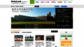 What Netty.ne.jp website looked like in 2020 (3 years ago)