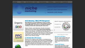 What Nicheseo.co.uk website looked like in 2020 (3 years ago)
