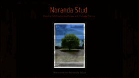 What Norandastud.com website looked like in 2020 (3 years ago)