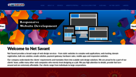 What Netsavant.org website looked like in 2020 (5 years ago)
