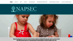 What Napsec.org website looked like in 2020 (3 years ago)