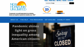 What New-horizons.org website looked like in 2020 (5 years ago)