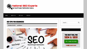 What Nationalseoexperts.com website looked like in 2020 (3 years ago)