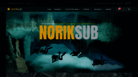 What Norik-sub.si website looked like in 2020 (3 years ago)