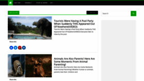 What Natureaddictedlife.com website looked like in 2020 (3 years ago)