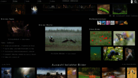 What Naturfotografen-forum.de website looked like in 2020 (3 years ago)