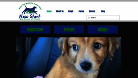 What Newstartdogrescue.org website looked like in 2020 (3 years ago)