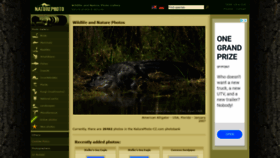 What Naturephoto-cz.com website looked like in 2020 (3 years ago)