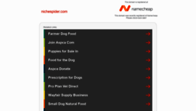 What Nichespider.com website looked like in 2020 (3 years ago)