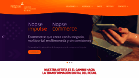 What Napse.global website looked like in 2020 (3 years ago)