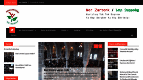 What Norzartonk.org website looked like in 2020 (3 years ago)