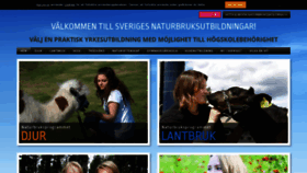What Naturbruk.se website looked like in 2020 (3 years ago)