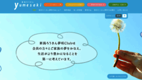 What N-yume.jp website looked like in 2020 (3 years ago)