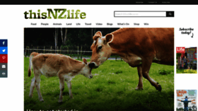 What Nzlifeandleisure.co.nz website looked like in 2020 (3 years ago)