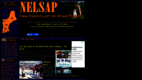 What Nelsap.org website looked like in 2020 (3 years ago)