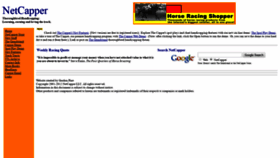 What Netcapper.com website looked like in 2020 (3 years ago)