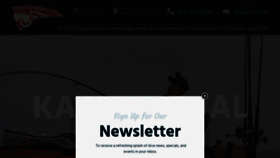What Nedive.com website looked like in 2020 (5 years ago)