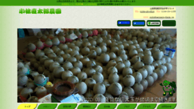 What Naotaro-farm.jp website looked like in 2020 (3 years ago)
