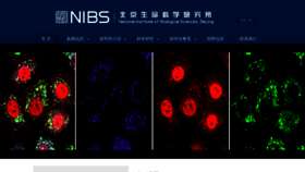 What Nibs.ac.cn website looked like in 2020 (3 years ago)