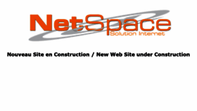 What Netspace.mc website looked like in 2020 (3 years ago)