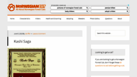 What Norwegiancat.com website looked like in 2020 (3 years ago)