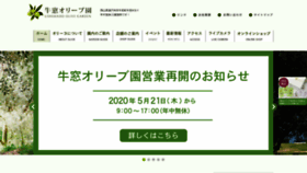 What Nippon-olive.info website looked like in 2020 (3 years ago)