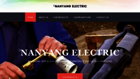 What Nanyangelectric.com website looked like in 2020 (3 years ago)