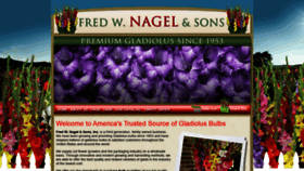 What Nagelglads.com website looked like in 2020 (3 years ago)