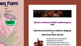 What Nokaoiprotea.com website looked like in 2020 (3 years ago)