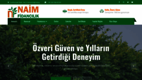 What Naimfidancilik.com.tr website looked like in 2020 (4 years ago)