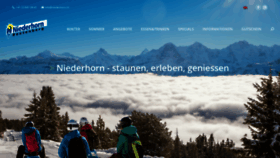 What Niederhorn.ch website looked like in 2021 (3 years ago)