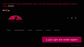 What Nachtclubangels.nl website looked like in 2021 (3 years ago)