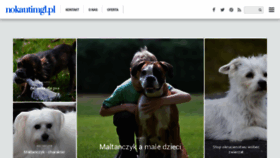 What Nokautimg1.pl website looked like in 2021 (4 years ago)