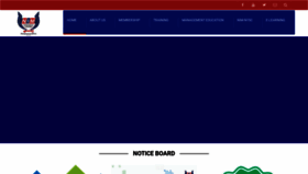 What Nim.ng website looked like in 2021 (4 years ago)