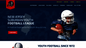 What Njsyfl.com website looked like in 2021 (3 years ago)