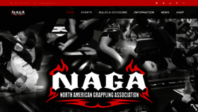 What Nagafighter.com website looked like in 2021 (3 years ago)